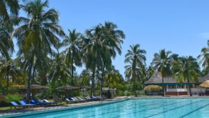 Pool amidst a coconut plantation of 20 hectares.